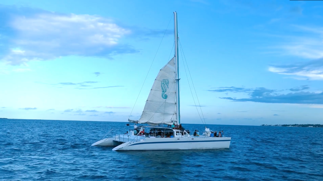 seahorse catamaran sailing adventures