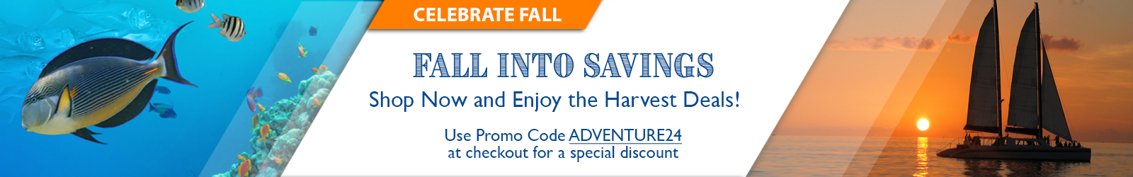 Fall Discount Fall