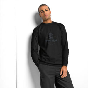 Men's heavyweight long sleeve t-shirt